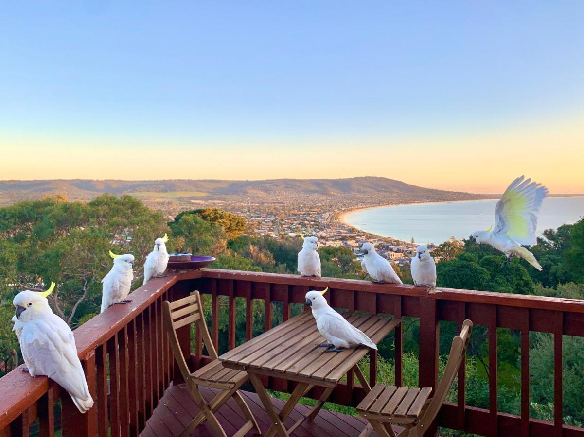 Kinoie Mornington - Oceanview Villa Mount Martha Exterior foto