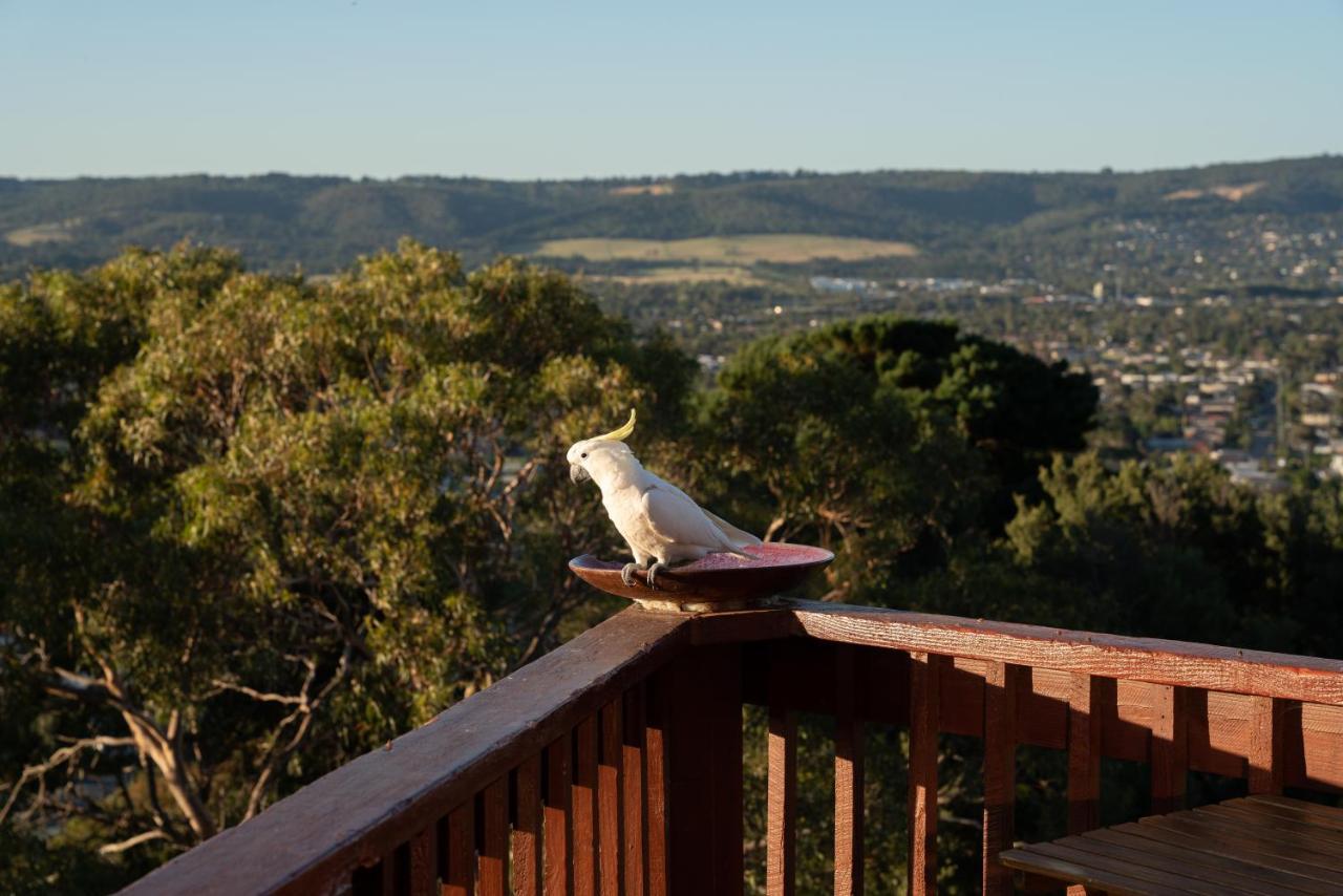 Kinoie Mornington - Oceanview Villa Mount Martha Exterior foto